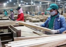 Record-high values for Vietnamese wood products exports during 2018