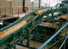 Sawmill industry in Austria forecast at record levels in 2018