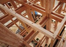 UAE’s wood products demand forecast to rise sharply due to $2.4 trillion worth of construction projects