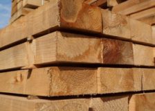 Softwood log stocks on the rise all around China