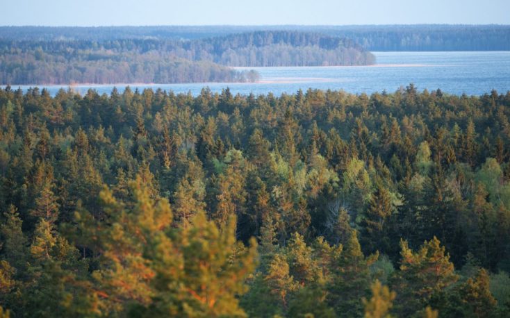 SCA signs letter of intent to buy 10 000 hectares of forest land in Latvia