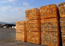 France: Lumber price list for Q4/2018