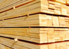 Sharp growth in Russian sawn timber exports