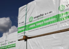 Segezha inaugurates Galich plywood mill in Russia; considers selling its European assets