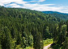 Rayonier completes acquisitions in U.S. South