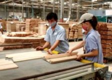Vietnam needs to invest in production capacity as to boost wood products exports