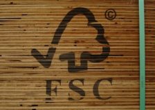 Record area of FSC certified forests in Russia