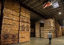 Record demand for American red oak in India
