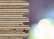 UPM completes plywood expansion in Russia