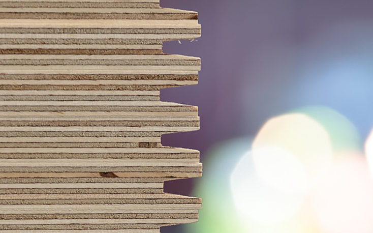 UPM completes plywood expansion in Russia
