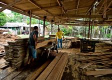Indonesian forestry industry forecasts boost in exports in 2020