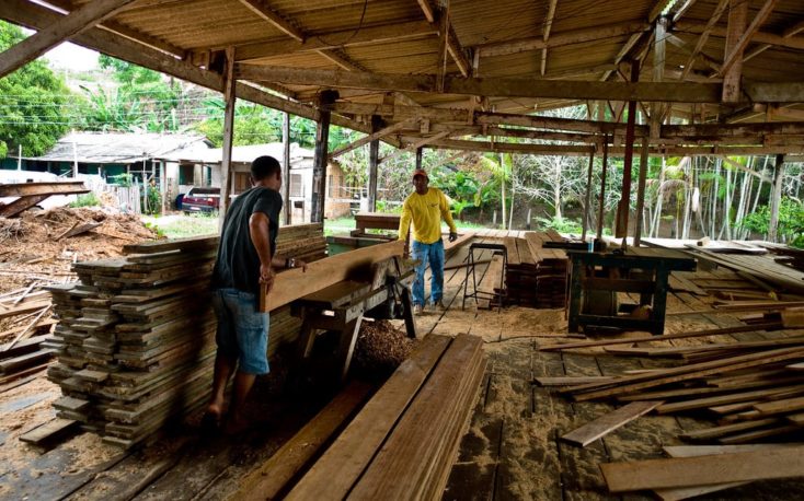 Indonesian forestry industry forecasts boost in exports in 2020