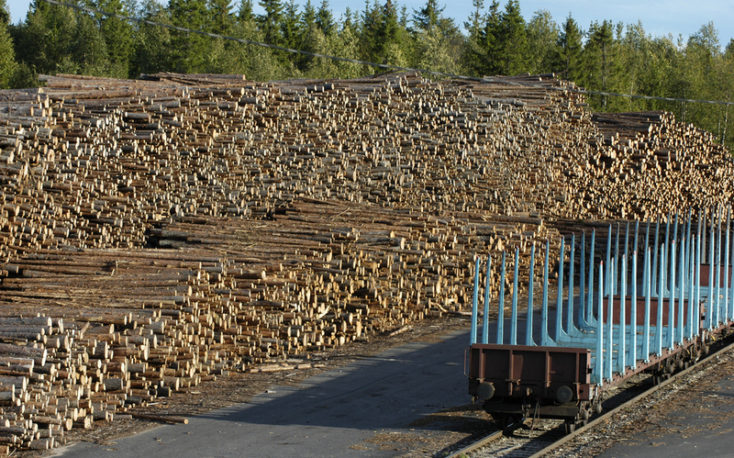 Finland: Timber production and prices expected to rise this year