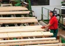 BSW Timber to postpone sawmill construction plans in Slovenia