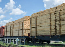 Russia sets new duties on export of green lumber