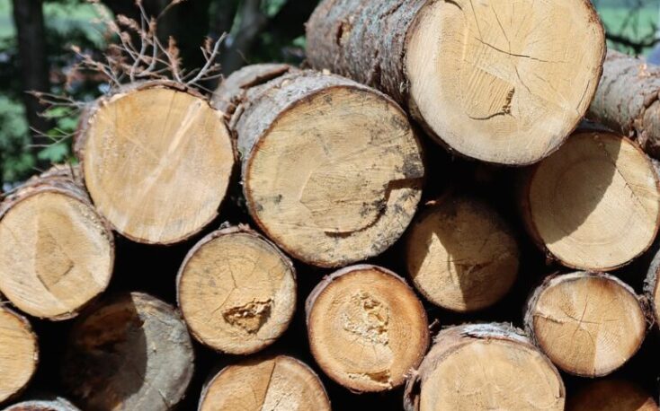 HS Timber, Egger and Kronospan accused of organizing a wood cartel in Romania