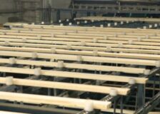 Russian sawmills hit hard by sanctions