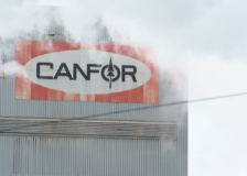Canfor extends sawmill curtailments in BC