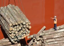China’s pine logs and lumber imports – only through designated ports