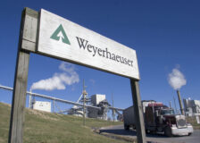 Weyerhaeuser is betting on a strong housing market for years