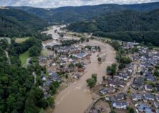 B.C. forestry sector hit hard by fallout from November floods
