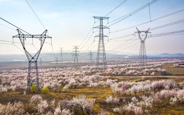 China wood processing capacity drops due to power rationing