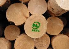 PEFC extends Russian and Belarusian conflict timber “indefinitely”