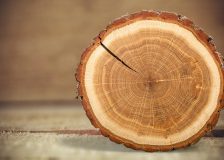 Energetic use of wood: is the criticism justified?