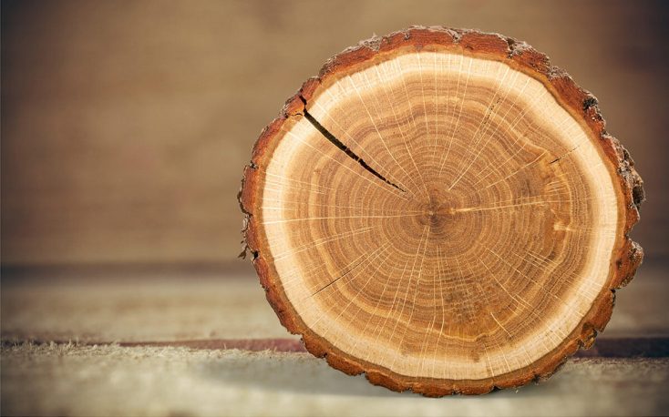 Energetic use of wood: is the criticism justified?