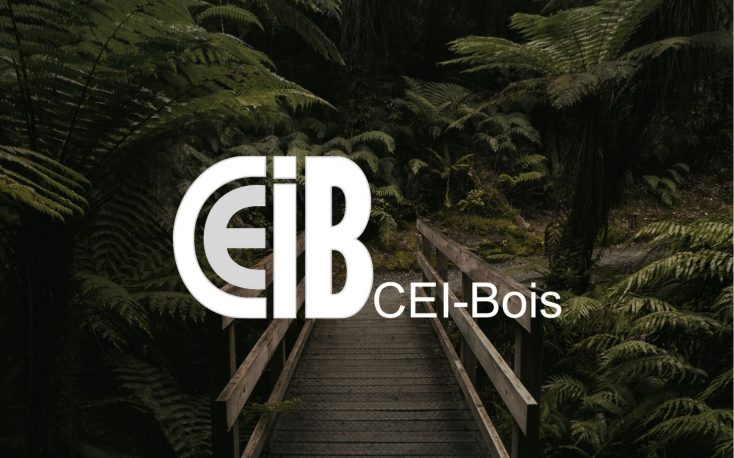 A look back at the general meeting of CEI-Bois