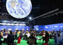 Wood industry at COP 27: Combining climate protection and business