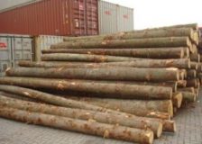 Germany: Spruce log price index shows an upward trend