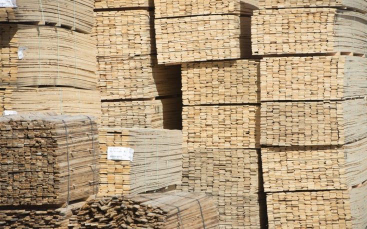 Latvia’s forest industry hits export record last year