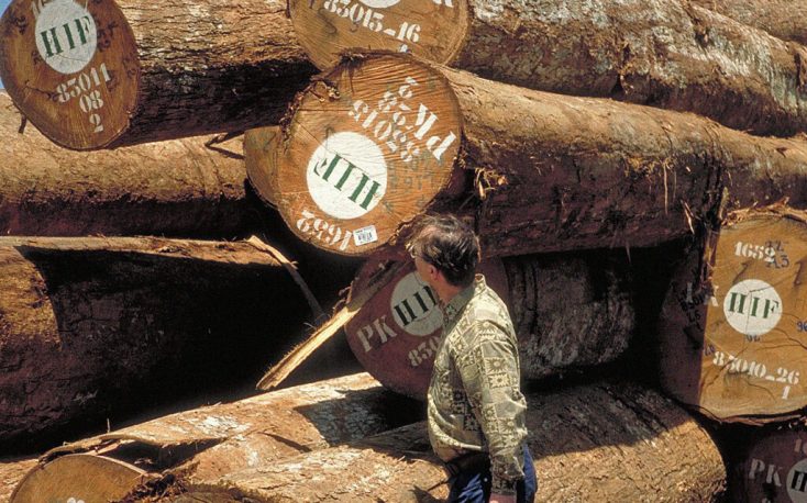 Africa: Few new timber orders from China