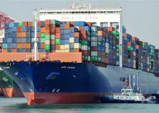 An investigation denounces illegal traffic of French wood to China