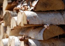 EU to weigh up future of wood-burning as renewable energy
