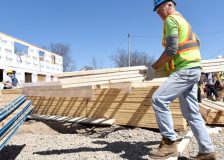 North American lumber prices are in a cooling period