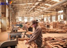 Vietnam’s wood product exports fall sharply due to order shortage
