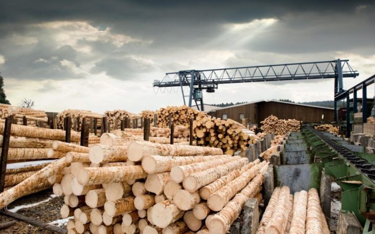 China: Timber imports fall in Q1/2023; prices follow the trend