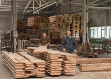 Czech Republic: Export of logs fall sharply due to bark beetle retreat; sawmills boost processing