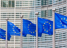 Firewood is still considered renewable in EU
