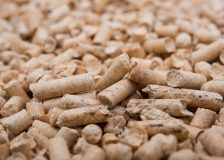 Concerns persist over Russian wood pellet exports to Turkey evading EU ban