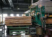 Russian plywood mills may be forced to stop production due to resin shortage