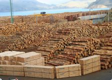 Russian timber exports witness steep decline as EU sanctions take effect
