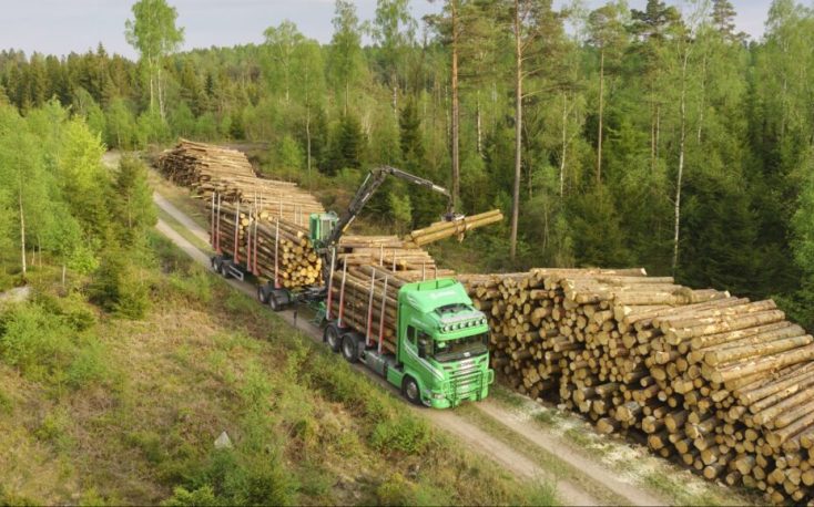 Södra anticipates rising timber demand in summer and autumn and raises prices