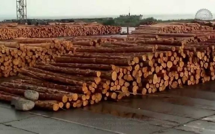 Ukraine aims to replace Russia, Belarus on world timber market