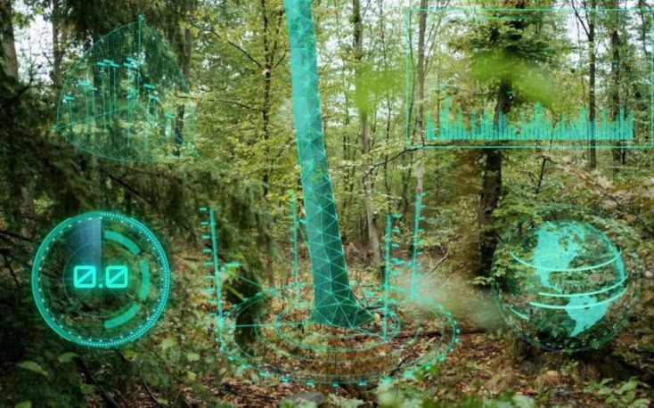 AI and IoT could be future game changers for the forestry industry