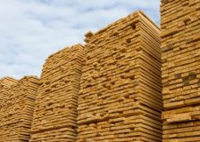 Forest growth and policy trends point to declining European wood production