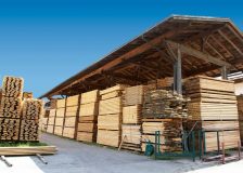 Wood prices collapse drastically in Germany – market completely out of joint