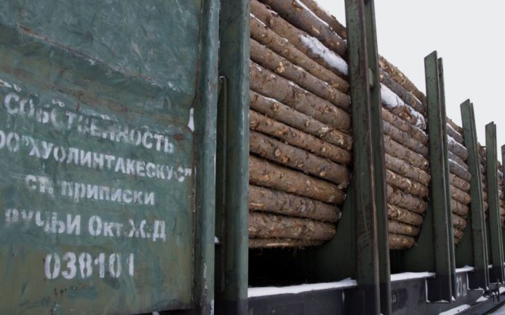 Illegal timber from Russia and Belarus is flooding Poland